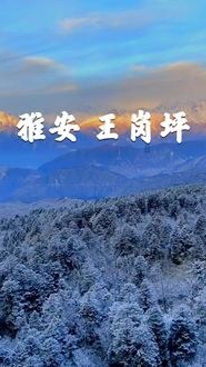 近八成的受访大学生愿意为气候保护出力！这一调查结果说明什么？