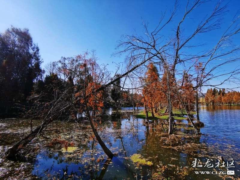 五彩果冻消消乐