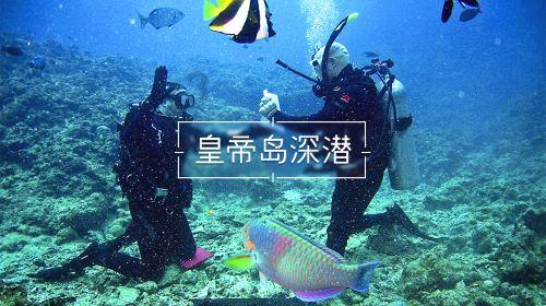 两会图说丨一图速览六届重庆市政协常委会工作报告